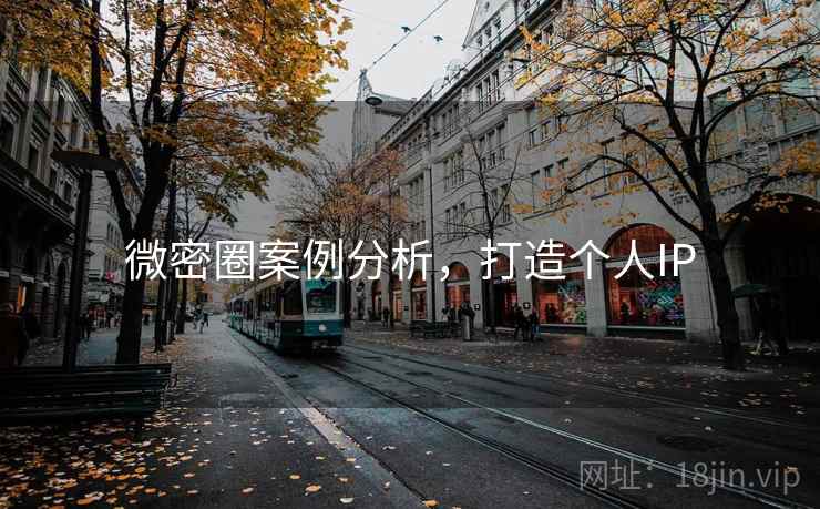 微密圈案例分析,打造个人IP 微密圈案例分析,打造个人IP