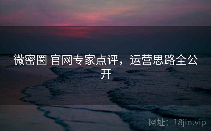 微密圈 官网专家点评，运营思路全公开